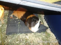 a8c51861967f.webp