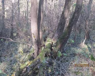 IMG_00004.jpg