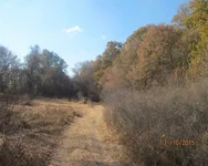 IMG_0001.jpg