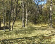 IMG_0002.jpg