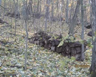 IMG_0007.jpg