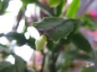 IMG_9525.webp