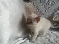 20151102_144037.jpg