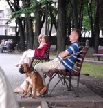 -X5VrFKBZwI.webp