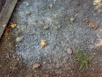 170420121066.webp