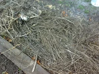 170420121068.webp