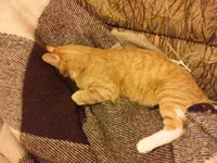 20151030_190827.webp