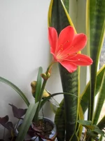DSCN4408.webp