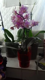 2015.11.06 1.webp
