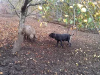  IMG_20141022_114215.webp