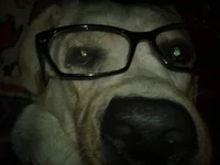 081120121886.webp