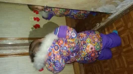 2015-11-07 15-43-02.webp
