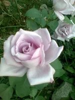 image (9).webp