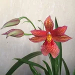 image.webp