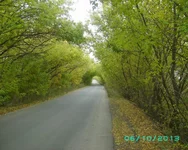 PICT0027.webp