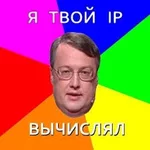  файлы.webp