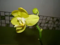 DSC09177.webp