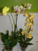 DSC09207_.jpg