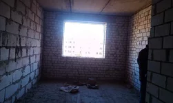 IMAG0605.webp