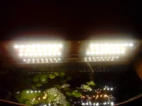 IMG_20151114_194948.webp