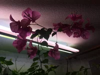 IMG_0436.jpg