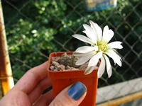 IMG_1515.webp