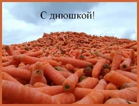 .webp