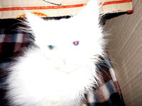 P1050443-1.jpg