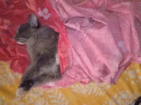 DSCN4675.webp