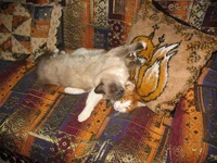 IMG_5849.webp