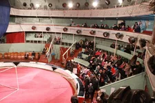 _IMG_6399.jpg