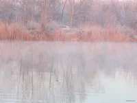IMG_1640.jpg