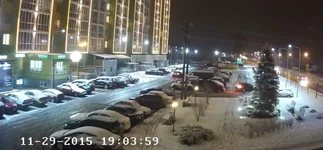 winter.webp