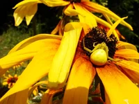 DSC01072.webp