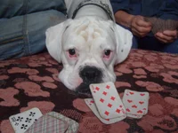 002533.webp
