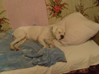 S7300262.webp