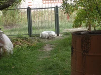 S7300308.webp