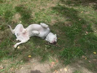 S7300317.webp