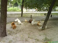 DSC01047.webp