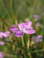 IMG_9756.jpg