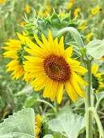 CRW_9547.webp