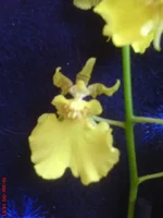 DSC01523.webp