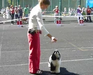 P1190652_2.webp