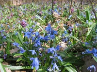 IMG_3472.webp