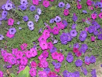 IMG_3985_изменить размер.webp