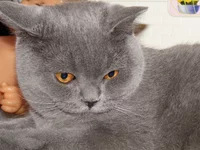 PA090287.webp