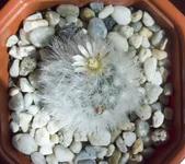 CRW_1281.webp