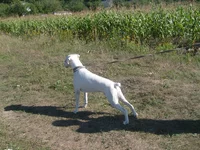 S7300366.webp