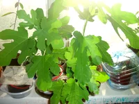 DSC04359.webp