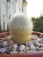 CRW_1306.webp